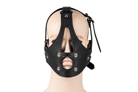 Basic Head Harness #2