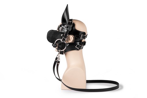 Ponyboy Ponygirl Head Harness #11