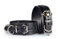 Lockable Heavy Duty Thigh Restraint
